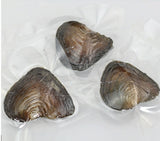 3X Zoetwater oester