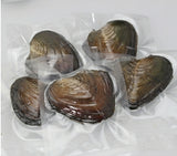 5X Zoetwater oester