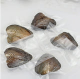 5X Zoetwater oester